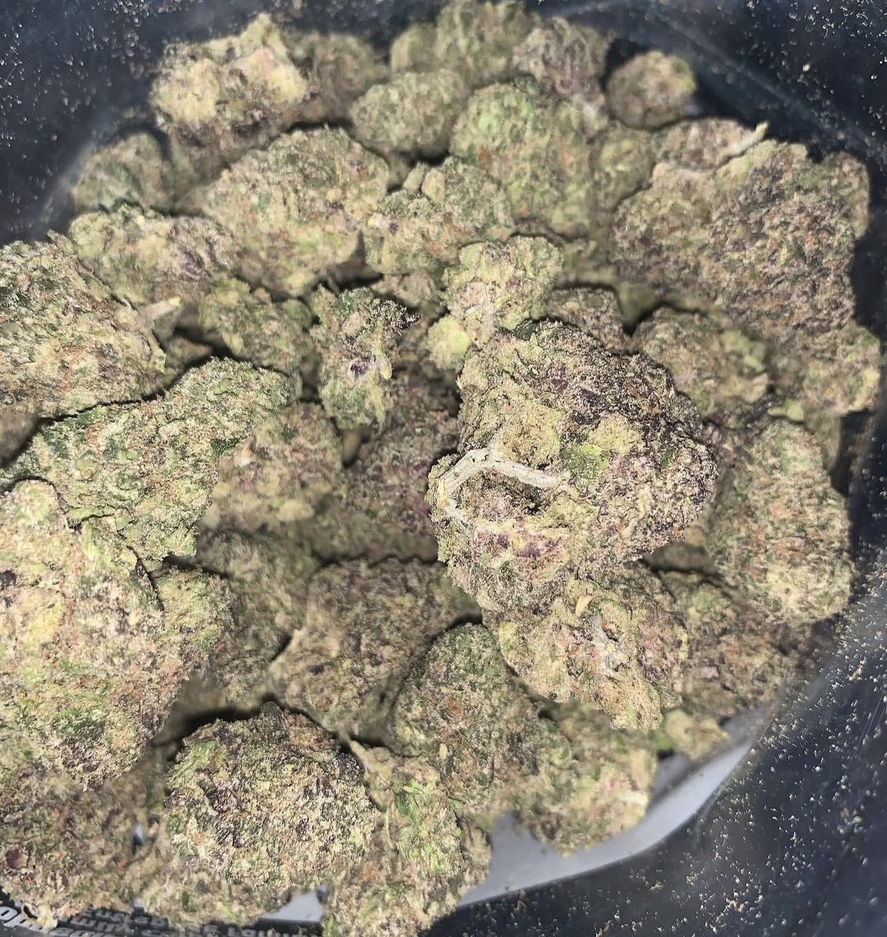 Pink Runtz - Image 3