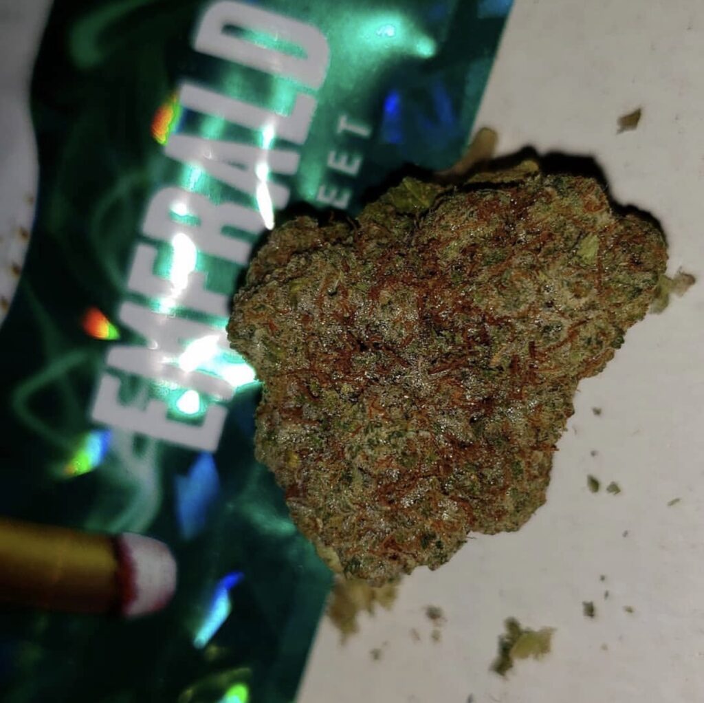 girl scout cookies