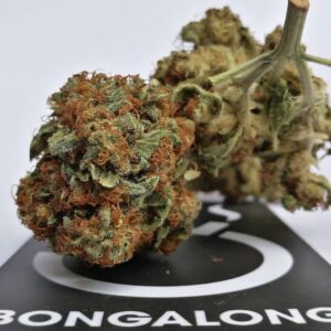 Buy Quality Blueberry Cannabis 