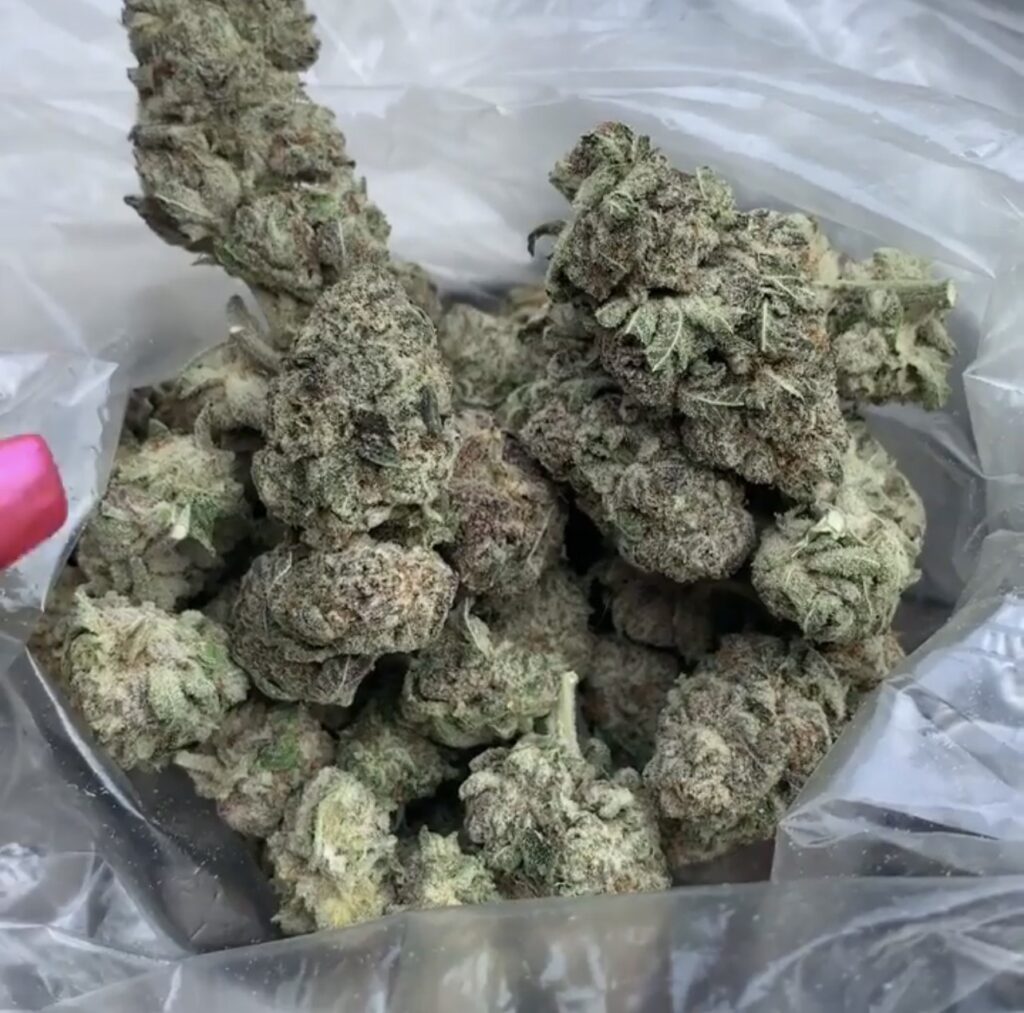 Granddaddy Purple