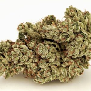 Gorilla Glue GG4
