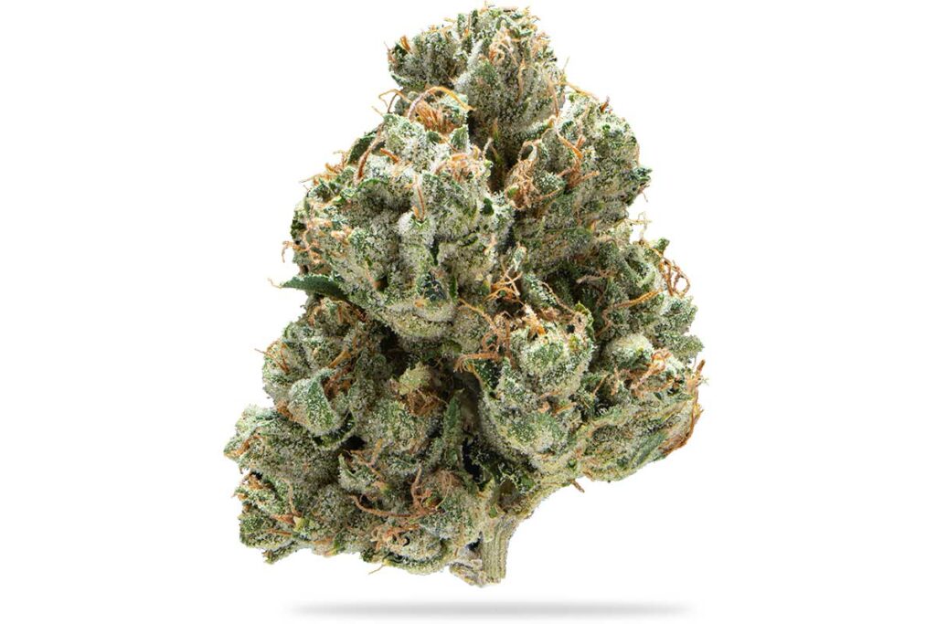 Legend OG Shatter
