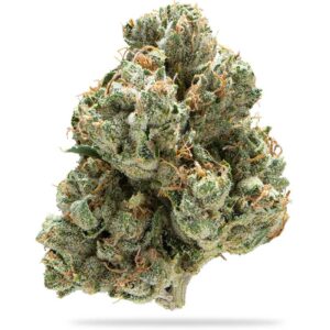 Legend OG Shatter