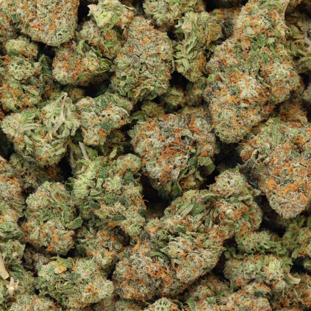 King Kush Hash